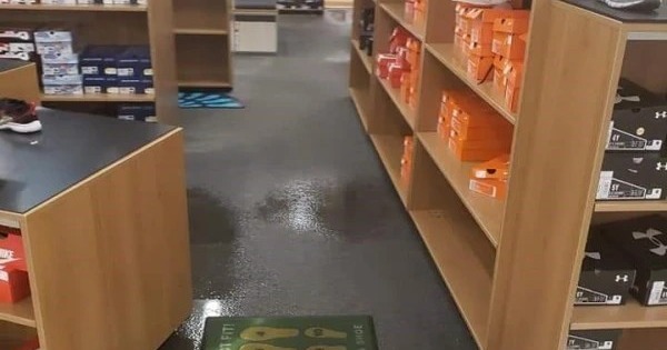 water damage cleanup university City